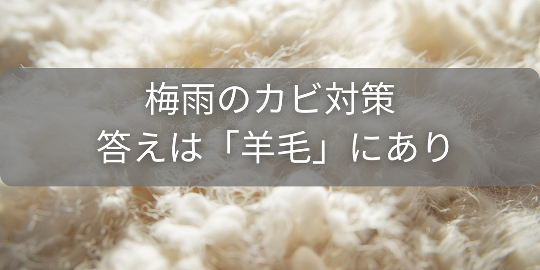 梅雨のカビ対策、答えは「羊毛」にあり! 科学が証明する天然の除湿力